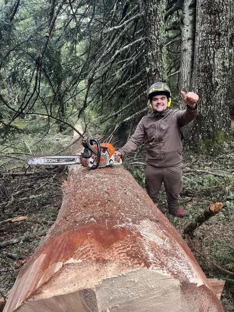 Bûcheron de LBB BOIS à côté d’un gros arbre abattu lors d’un chantier forestier en Ariège