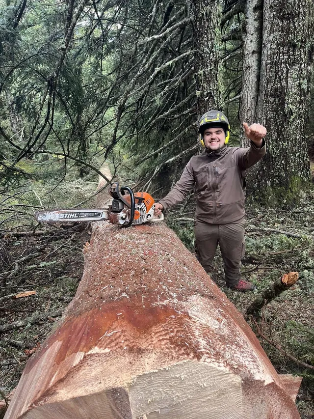 Bûcheron de LBB BOIS à côté d’un gros arbre abattu lors d’un chantier forestier en Ariège
