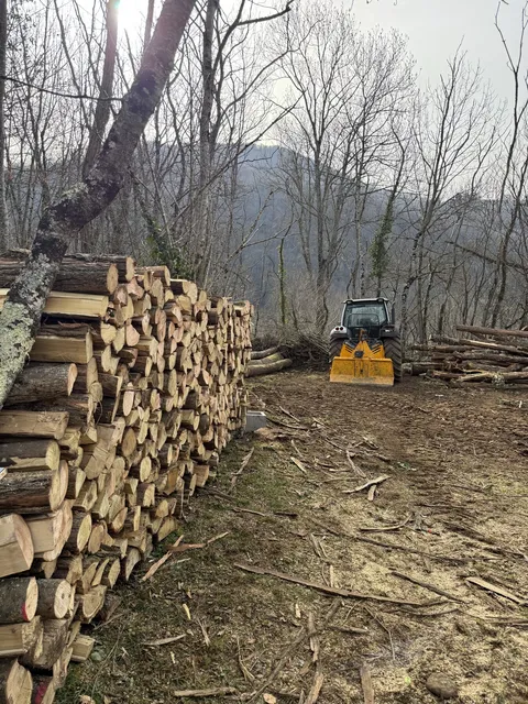 Stère de bois de chauffage en bûches empilées, LBB BOIS Ariège