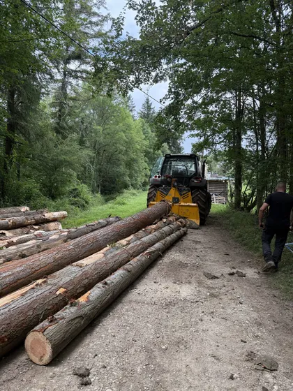 Tracteur forestier pour le débardage et l’entretien de terrain